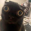 4 IN BLUE's avatar