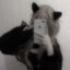 ฅ^&gt;⩊&lt;^ ฅ