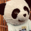 pandita