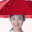 Super-Hydrophobic Umbrella