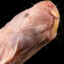 Naked Mole Rat