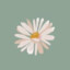 DaisyChainsaw