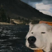 这把枪弹道偏左