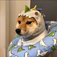 我给你马来一扣