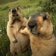 supergamer_bigwood34