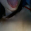 emily-