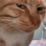 你的G7不如我的G8