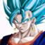 Vegetto