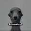 симетри&gt;99смсзади