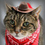 Yeehaw McGraw
