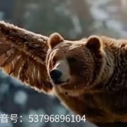 雄鹰一样的男人