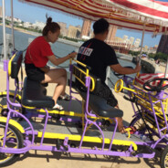 宝宝巴士，100+-  固对开