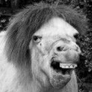 DerPferdHeisstHorst - steam id 76561197960776010
