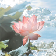 在艳阳天 我喝着山河水