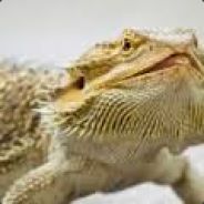 Beardie50000