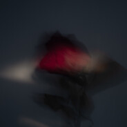 装着小鱼的瓶子