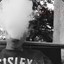 tresher_1337