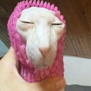 Meew's avatar