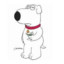 Brian Griffin