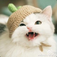 北冥有鱼名为咸