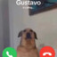 Gustavo