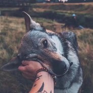 GuiltyCrow 秋刀鱼