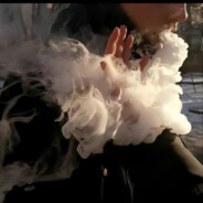 重蹈覆辙的傻子