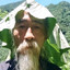 cлeзы caтoши (aзaзин)'s avatar