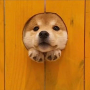 重拳出击Graves 11，