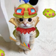 爱玩游戏的猫猫