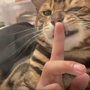 春