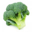 Brocolli