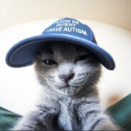 Just a cat