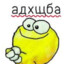 Socicka_V_teste228
