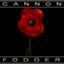 Cannon Fodder Vet