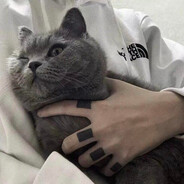 布偶貓不讓養曼赤肯