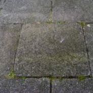 fantastyczny pjotrek