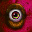 EyeBLooD