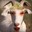 Subtle Goat Man
