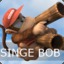 SINGE Bob