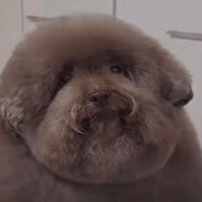 Scoobert