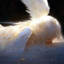 филантроп skawed139
