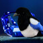 LeftyGemsMagpie