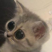 sie errollen mich blickend