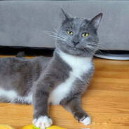 Курочка с картошк