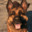 Dogmeat (Jiko)'s Avatar