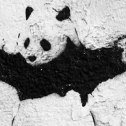 开了你就别演，我累了