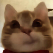 goinewild Steam avatar