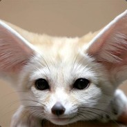 Kamień_1433_pro gracz pl