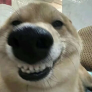 不要跟我叽叽歪歪